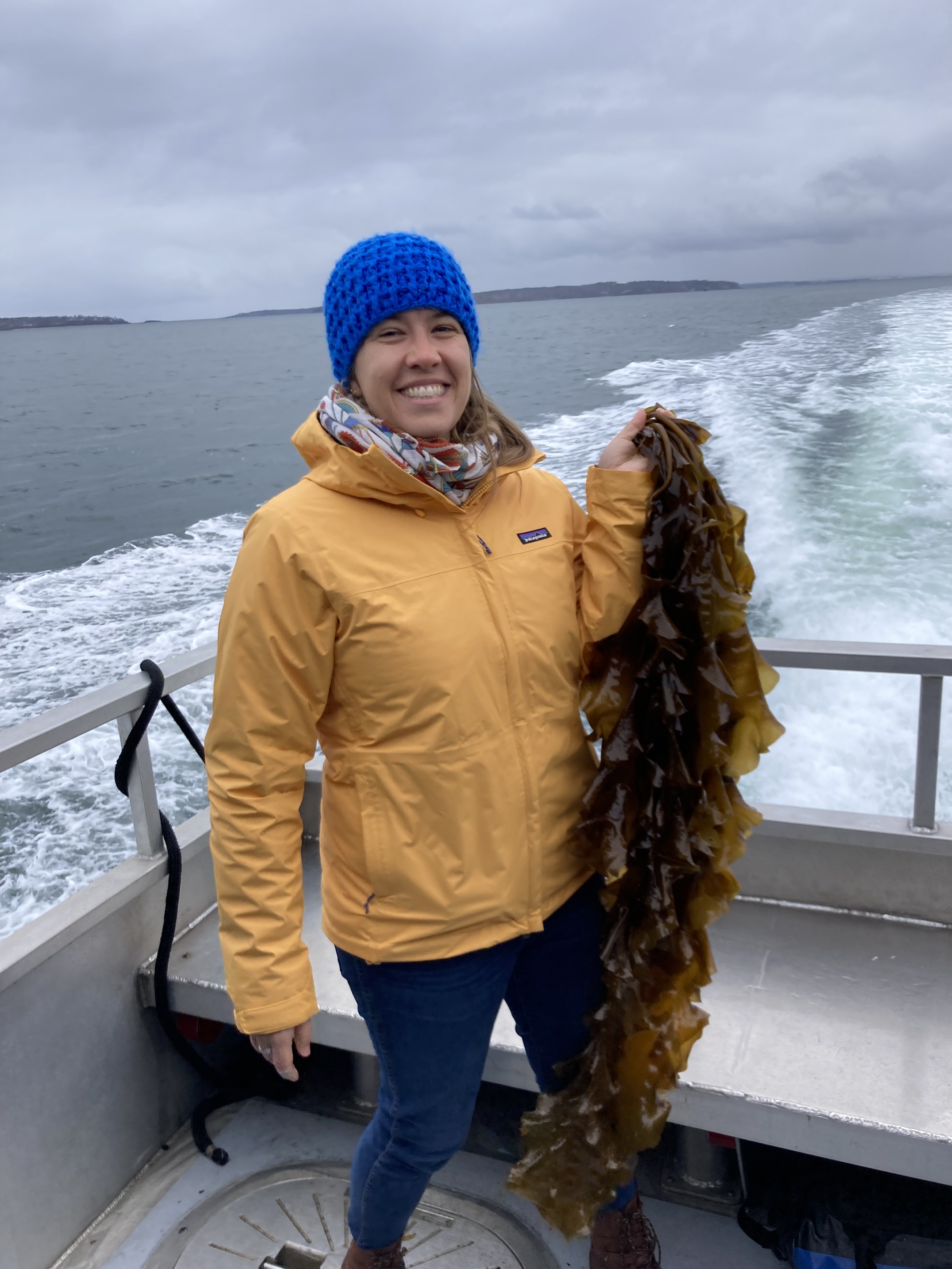 checkingusernameloadchange